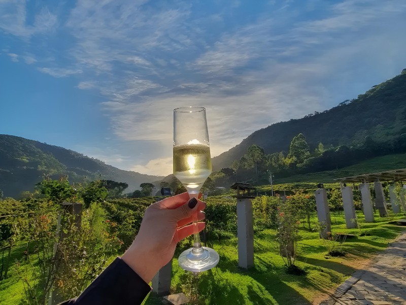 Wine Bus Canela Com Churrascaria e Vinhos Jolimont
