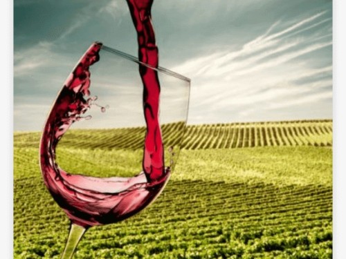 Categoria Wine Tours - Gramado e Canela