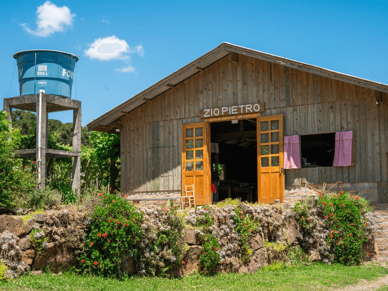 Pisa da Uva Vindima Premium – Familia Casa Zio Pietro - winebus.com.br